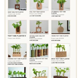Cork Test Tube Planters