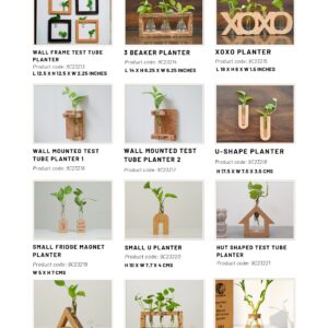 Cork Test Tube Planters